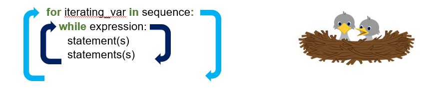 Nested Loops